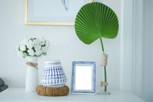 photo 1705719615705 757e632471cbcropentropycstinysrgbfitmaxfmjpgixidM3wxNDA1NTd8MHwxfHNlYXJjaHw5Nnx8Z3JlZW4lMjB3YWxsJTIwcGxhbnRzfGVufDF8MHx8fDE3NDM5MjYwMDR8MAixlibrb 4.0.3q80w1080