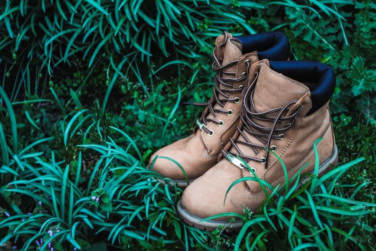 photo 1554133639 2215849d5c4fcropentropycstinysrgbfitmaxfmjpgixidM3wxNDA1NTd8MHwxfHNlYXJjaHw2fHx0cmVra2luZyUyMGFkaWRhcyUyMGNvbWJhdCUyMGJvb3RzfGVufDF8MHx8fDE3NTY1NjU2ODV8MAixlibrb 4.1.0q80w1080